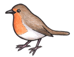 robin