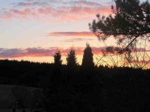 spring evening