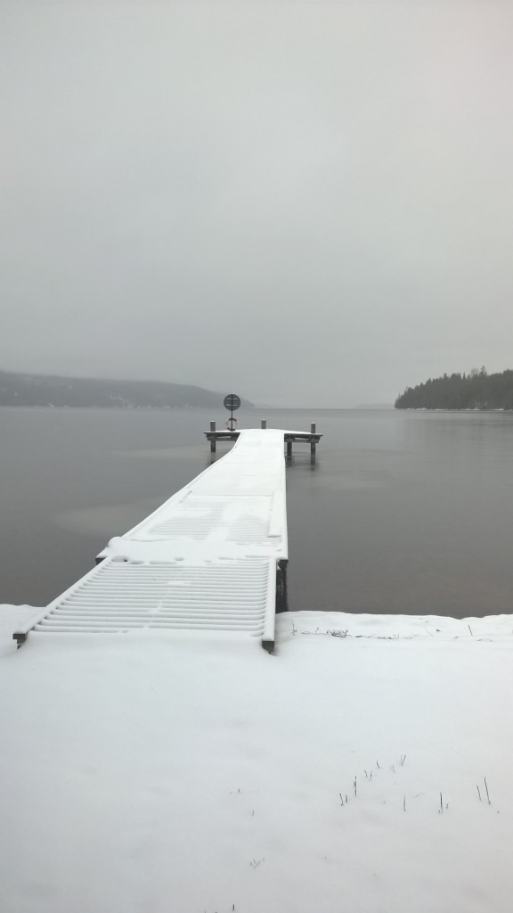 svartvit vinterlandskap vid Hagudden