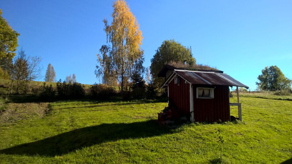 Sauna,koivu, sinitaivas