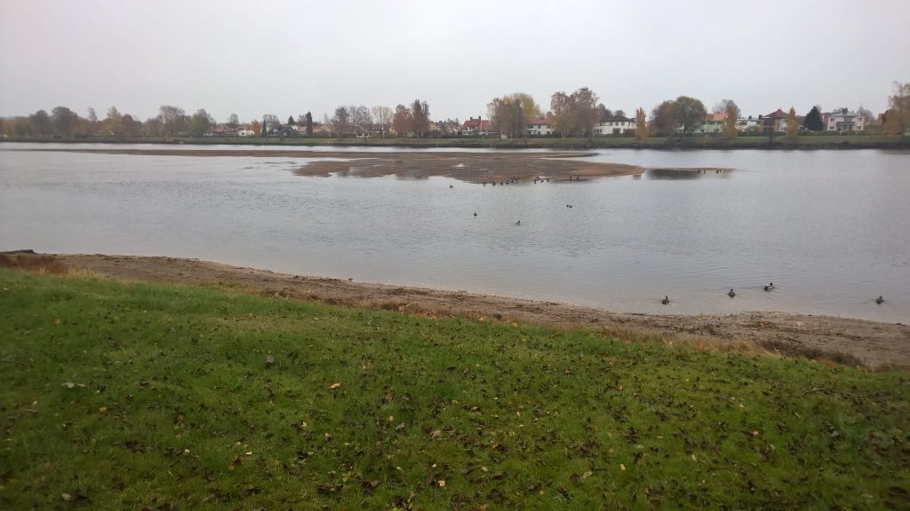 Klarälvens sandbank